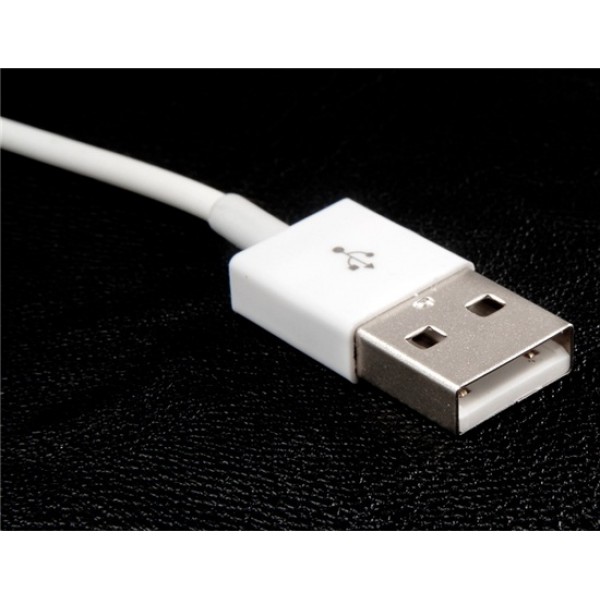 Charging & Data Transmission Spring Cable for iPhone 5, iPod Nano 7, iPod Touch 5, iPad Mini, iPad 4 (White)